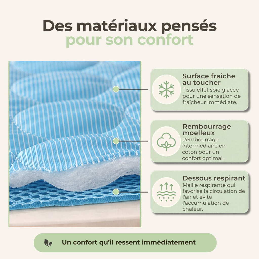 Tapis rafraîchissant pour chien – Effet immédiat