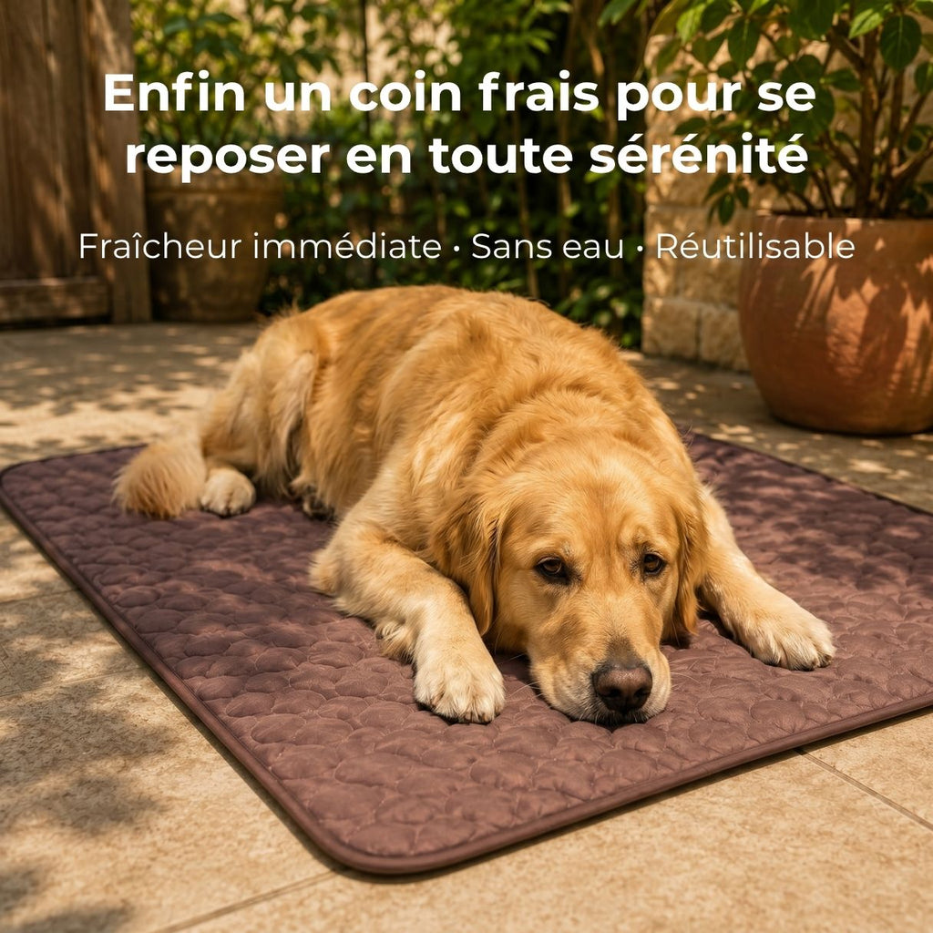 Tapis rafraîchissant pour chien – Effet immédiat