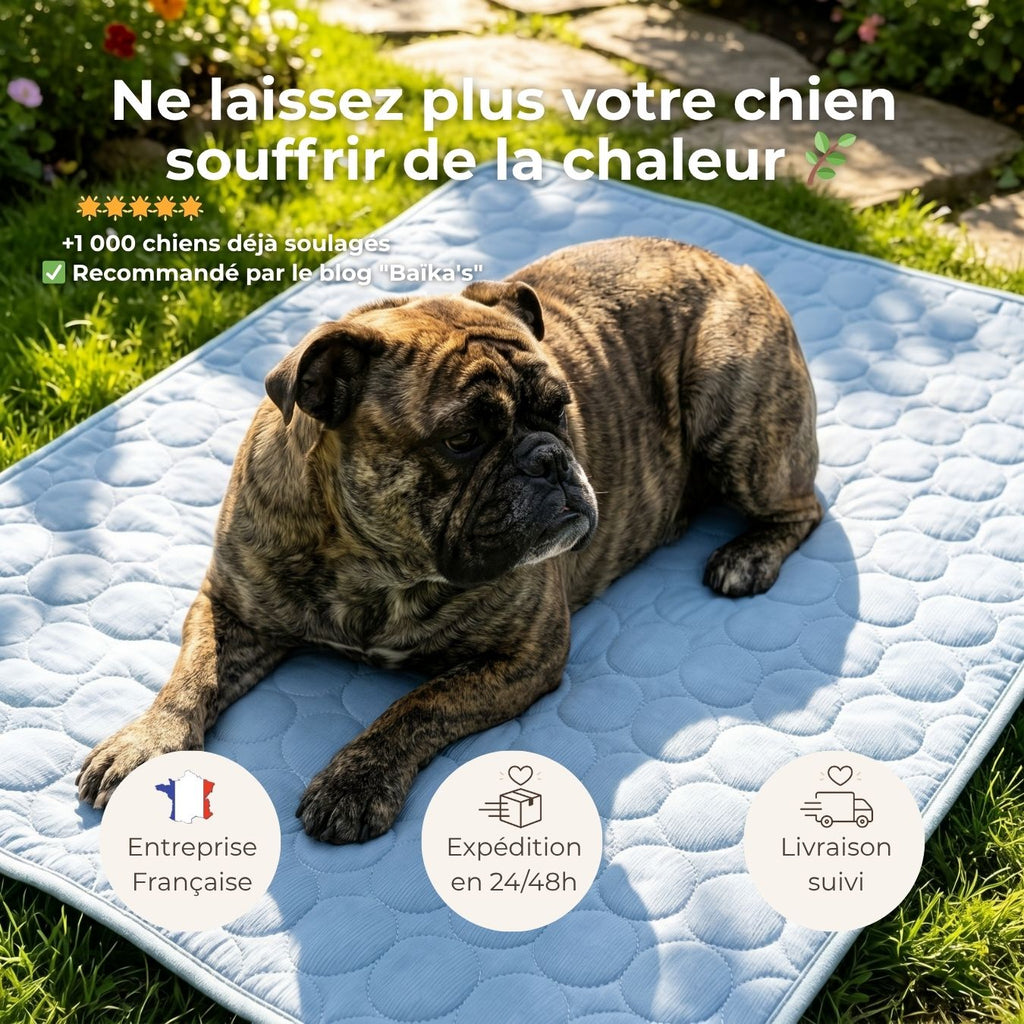 Tapis rafraîchissant pour chien – Effet immédiat