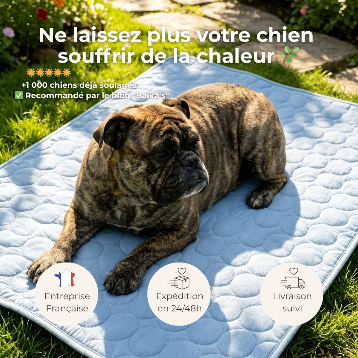 Tapis rafraîchissant pour chien – Effet immédiat