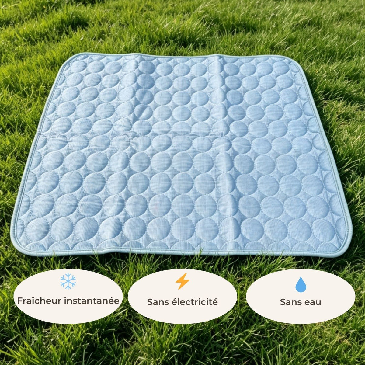 Tapis rafraîchissant pour chien – Effet immédiat