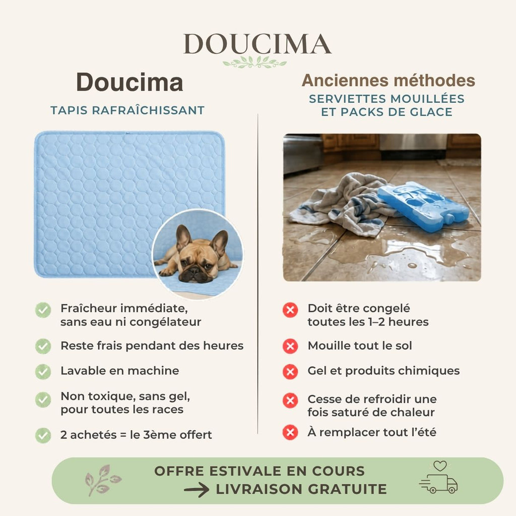 Tapis rafraîchissant pour chien – Effet immédiat