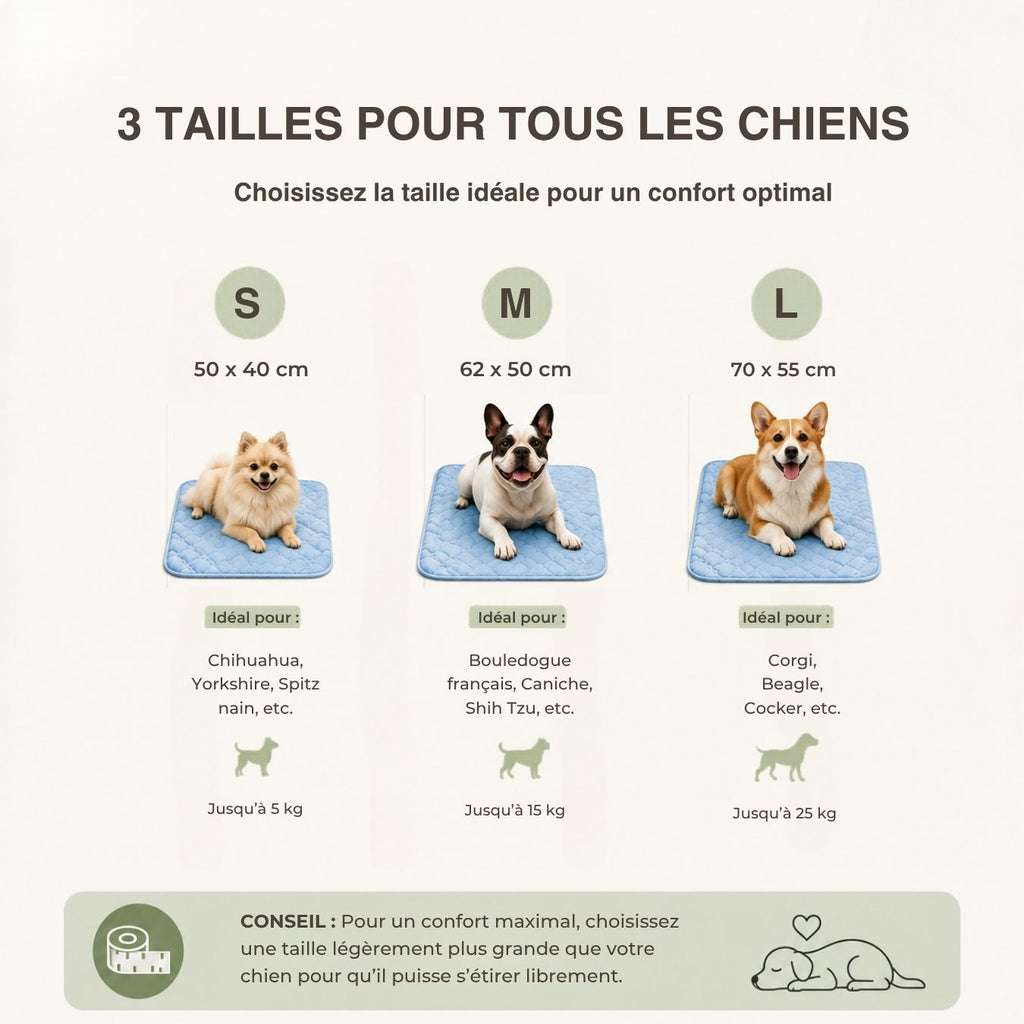 Tapis rafraîchissant pour chien – Effet immédiat
