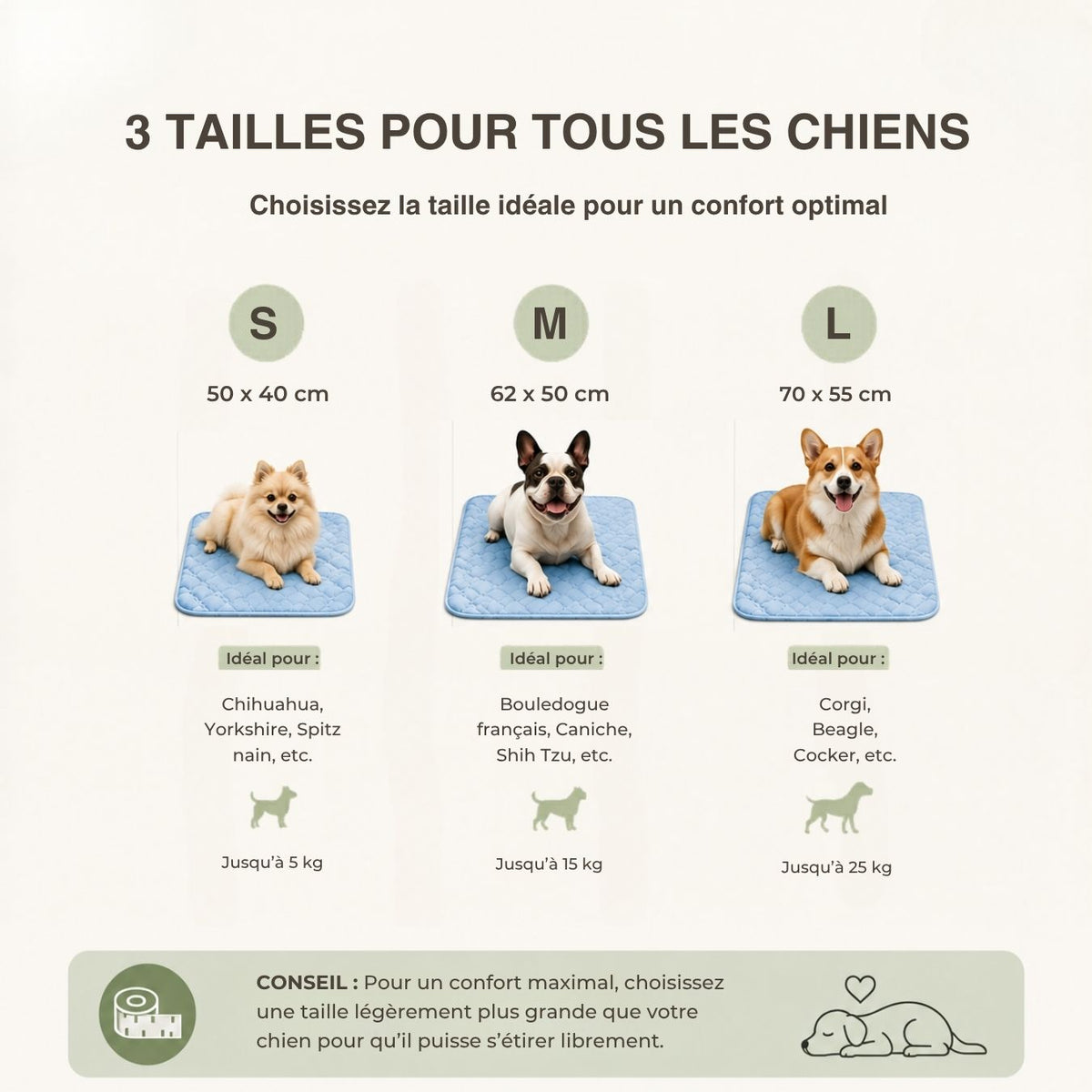 Tapis rafraîchissant pour chien – Effet immédiat
